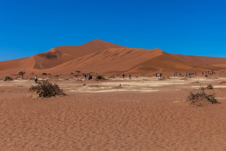 Deadvlei im Namib Naukluft NP