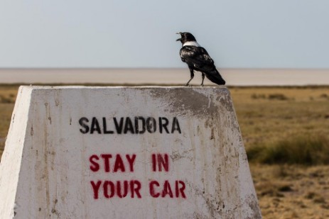 Halali - Schild Salvadora mit Vogel