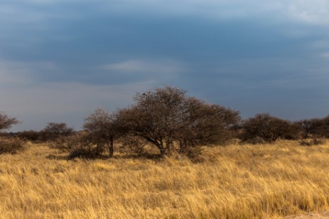 Landschaft um Namutoni bei Wettersturz 